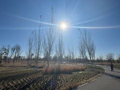 -中家鑫园温泉酒店鑫悦汤泉