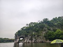 -椿记烧鹅(叠彩店)
