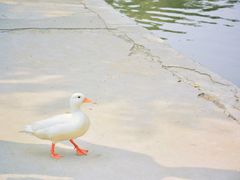 -太阳宫公园