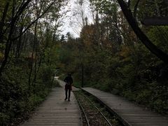 -五营红松林海景区