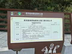 -西双版纳原始森林公园