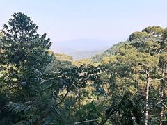 -清迈丛林飞跃 JungleFlight