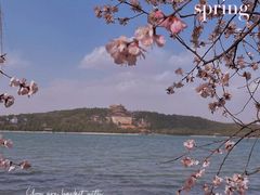 -颐和园
