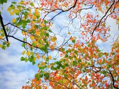 -昆山城市生态森林公园