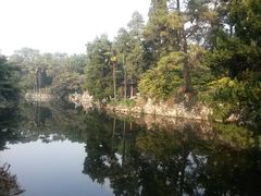 -叶家花园