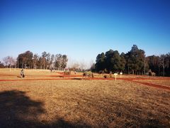 -北京西山国家森林公园