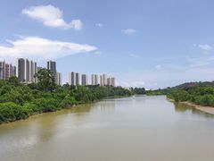 -大亚湾红树林城市湿地公园