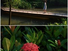 -云溪植物园