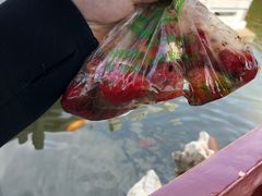 -雪儿钱局泡菜
