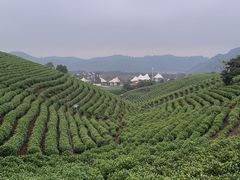 -帐篷客·溪龙茶谷度假酒店