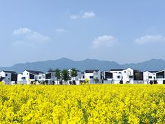 -东梓关景区村庄
