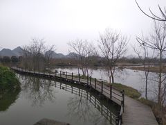 -会仙湿地