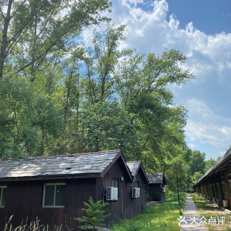 露营🏕️烧烤，遛娃好去处