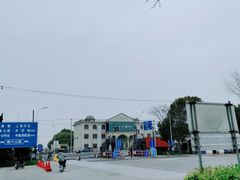 -野生动物园-停车场