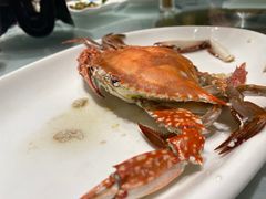 -洲晓鱻舟山海鲜(2号店)