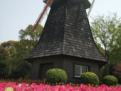 -上海鲜花港