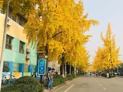 -四川大学(望江校区)