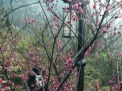 -灵顺寺