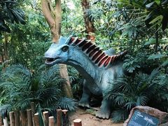 -呀路古热带植物园