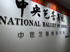 -中央芭蕾舞团·中芭艺蕾(酒仙桥明星校区)