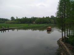 -溱湖国家湿地公园