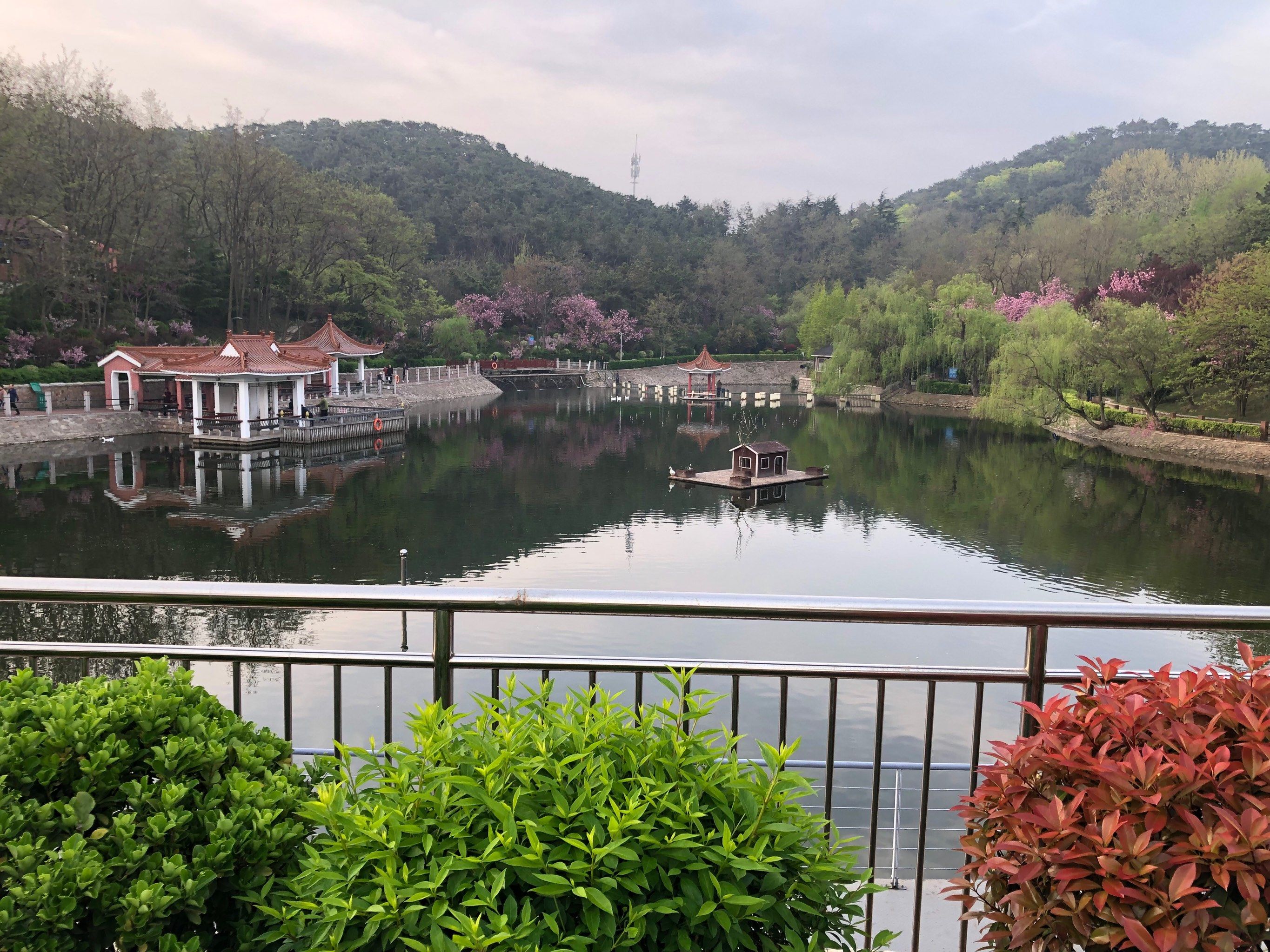 北岭山森林公园,天然的空气氧吧