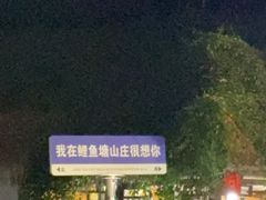 -鲤鱼塘农家山庄