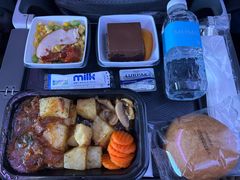 -新加坡航空公司(ION)