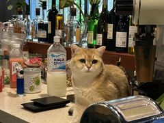 -咖法森林·咖啡  酒吧(天河店)