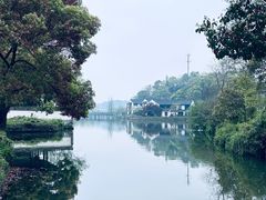 -鲁镇