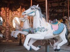 -朝阳公园游乐园