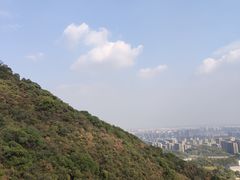 -杭州半山国家森林公园