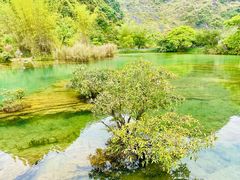 -靖西鹅泉风景区