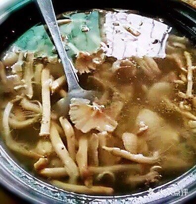 可遇不可求的荔枝菌鲮鱼滑鲜菌汤