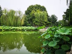 -黄村公园
