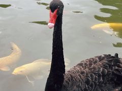 -扬州瘦西湖温泉