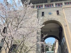 -武汉大学-樱园