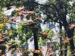 -南京东郊国宾馆