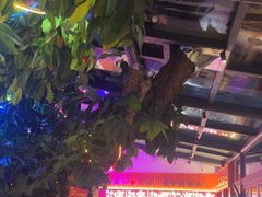 -海岛八号龙虾烧烤田鸡(蓝天路总店)