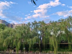 -金宫殿故址