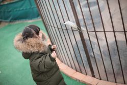 -萌宠亲子动物乐园(槐房万达店)