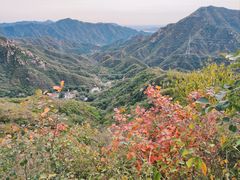 -大岭沟猕猴桃谷风景区