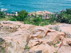 -广东惠东海龟国家级自然保护区