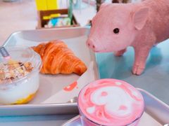 -WHEN PIGS FLY当猪飞