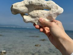 -三亚西岛海洋文化旅游区