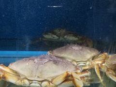 -金浒通大酒店(新浒商业街店)