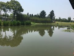 -瑶湖郊野森林公园