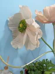 -斐尔国际皮肤管理中心