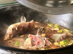 -姥家大锅台水库渔家