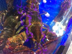 -盒马鲜生(莱蒙都会店)
